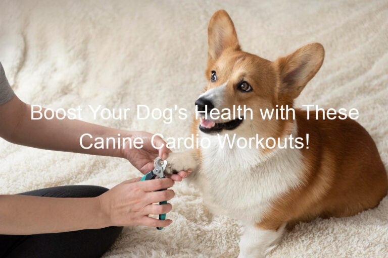 Boost Your Dog's Health with These Canine Cardio Workouts!