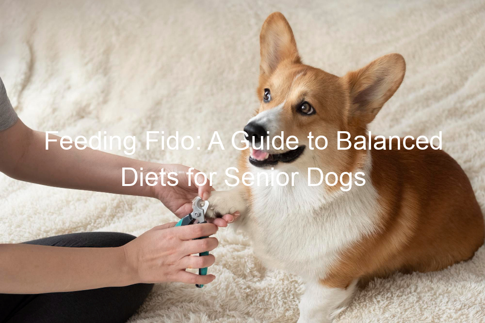 Feeding Fido: A Guide to Balanced Diets for Senior Dogs