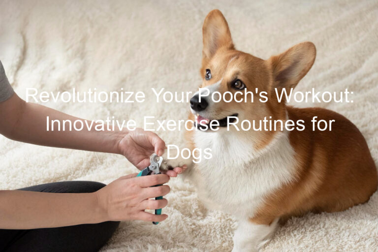 Revolutionize Your Pooch's Workout: Innovative Exercise Routines for Dogs