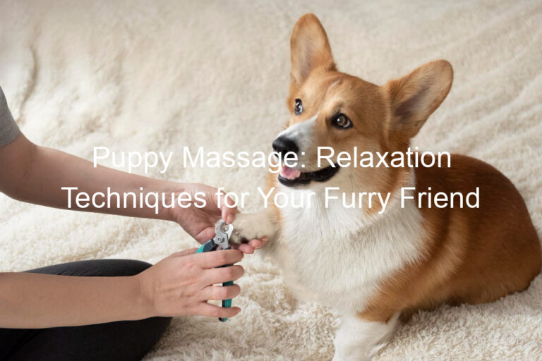 Puppy Massage: Relaxation Techniques for Your Furry Friend